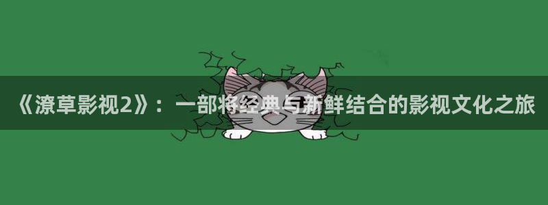 第第九影院：《潦草影视2》：一部将经典与新鲜结合的影视文化之旅