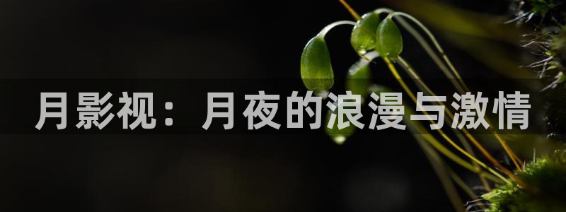 第九色影院：月影视：月夜的浪漫与激情