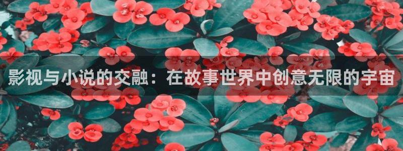 神马第九达达兔影院：影视与小说的交融：在故事世界中创意无限的宇宙