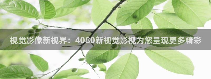 第九影院3040：视觉影像新视界：4080新视觉影视为您呈现更多精彩