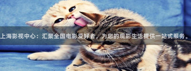 神马第九影院达达兔：上海影视中心：汇聚全国电影爱好者，为您的观影生活提供一站式服务。
