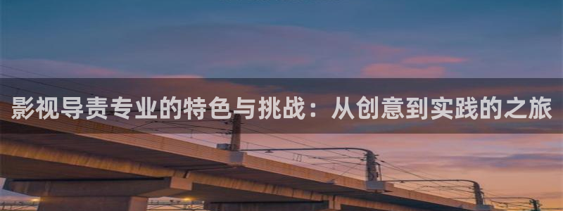 第九神马老子达达兔影院：影视导责专业的特色与挑战：从创意到实践的之旅