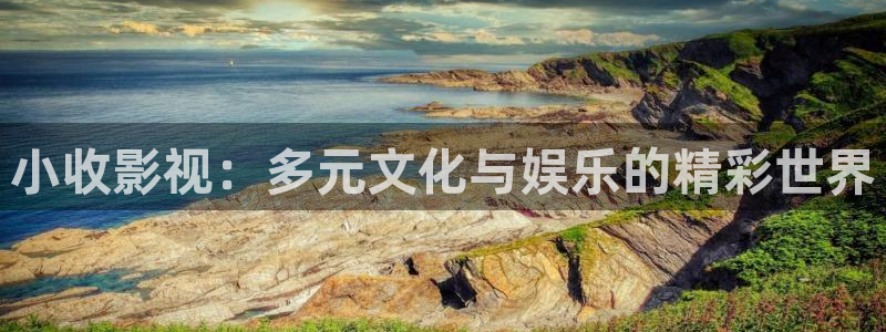 达达兔第九影院：小收影视：多元文化与娱乐的精彩世界