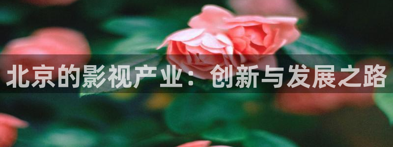 午夜神马第九影院：北京的影视产业：创新与发展之路