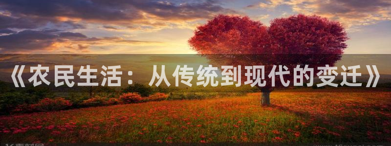 神马第九影院伦理片：《农民生活：从传统到现代的变迁》