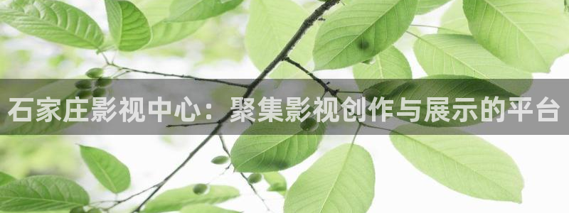 神马影院第九影院y：石家庄影视中心：聚集影视创作与展示的平台