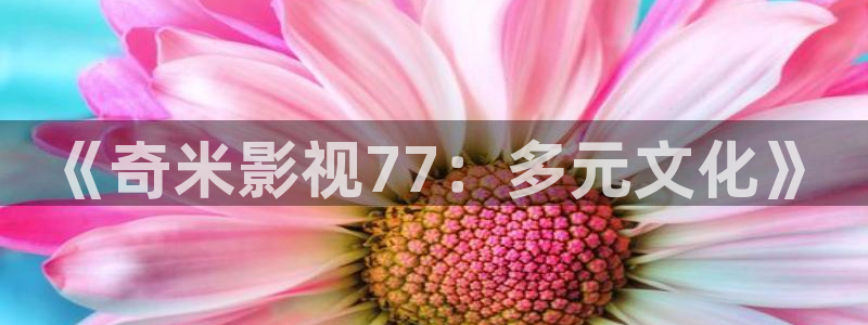 达达兔影院第九理论影院老子影院：《奇米影视77：多元文化》