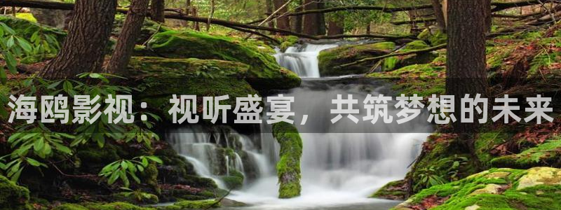 达达兔神马第九影院：海鸥影视：视听盛宴，共筑梦想的未来